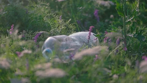 Plastic bottle falls into the grass damaging the environment Stock Footage 222836603