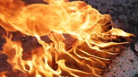 Plastic bottle in a flame of fire Stock Footage 69089976