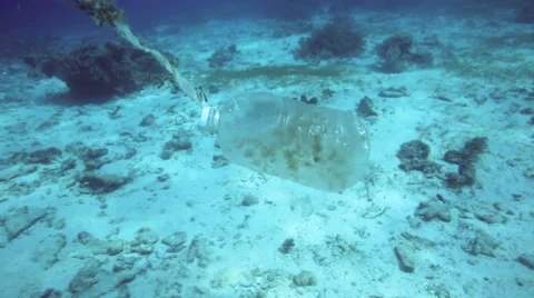 Plastic bottle floating along coral reef - underwater ocean trash Stock Footage