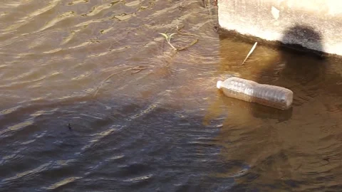 A plastic bottle floating on dirty water surface, polluting the river envir.. 動画素材 336982679