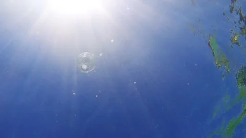 Plastic bottle floating in ocean highlighting marine pollution Video stock 338407220