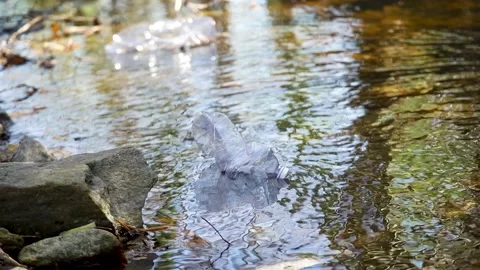 Plastic bottle floating in a river Stock Footage 236882588