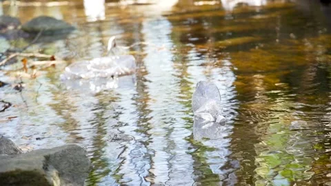 Plastic bottle floating in a river Stock Footage 236882749
