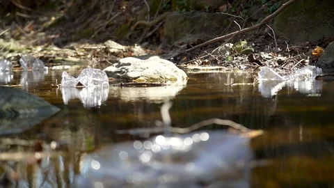 Plastic bottle floating in a river Stock Footage 236882821