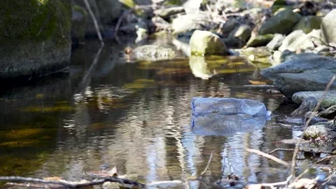 Plastic bottle floating in a river Stock Footage 236902052