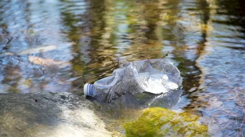 Plastic bottle floating in a river Stock Footage 236902288