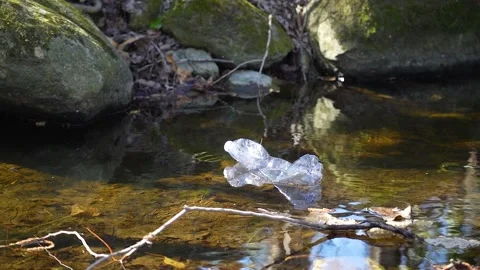 Plastic bottle floating in a river Stock Footage 236902610