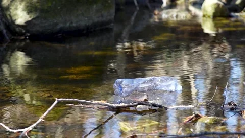Plastic bottle floating in a river Stock Footage 236902638