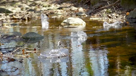 Plastic bottle floating in a river Stock Footage 236903096