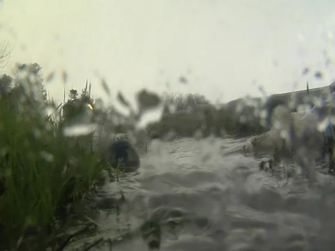 Plastic bottle floating in runoff Video stock 610022