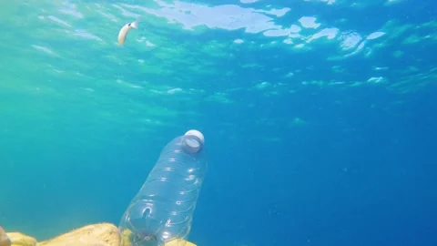 Plastic bottle floating under water in ocean environment Stock Footage 340120767