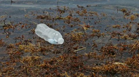 Plastic bottle floating in water Stock Footage 53371393