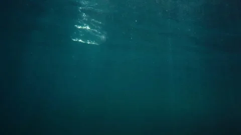 Plastic bottle floating on water Stock Footage 241557806