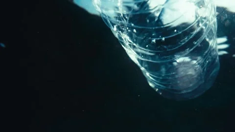 Plastic bottle floating on water surface Stock Footage 241557758