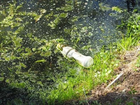 A plastic bottle floats in a muddy stream. The concept of environmental pollu Stock Photos