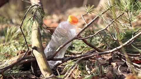 Plastic bottle in the forest. Nature pollution Stock Footage 170831352