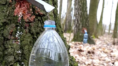 Plastic bottle full of birch juice Stock Footage 89194758