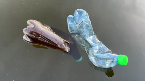 Plastic bottle garbage on sea shore lake. Stock Footage 251524971