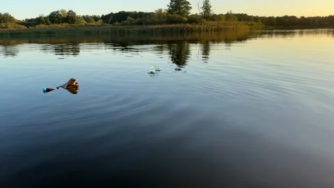 Plastic bottle garbage on sea shore lake. Stock Footage 251532302