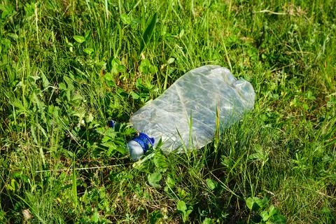 Plastic bottle on green grass, close-up. Stock Photos
