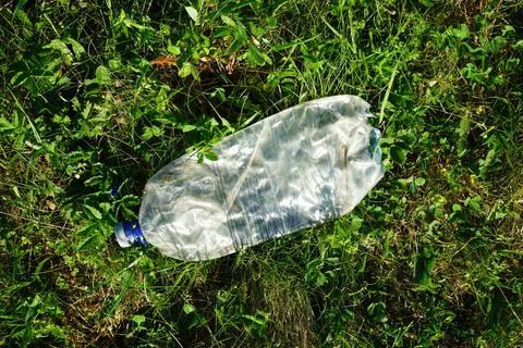 Plastic bottle on green grass, flat lay. Stock Photos