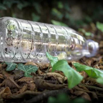 Plastic bottle on the ground Stock Photos