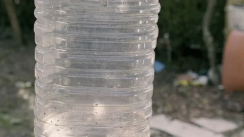 Plastic Bottle hang on a Tree to atract insects Stock Footage 145408059