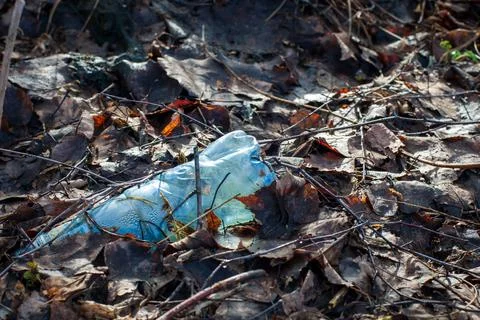 Plastic bottle left in the forest Stock-Fotos