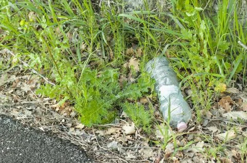 Plastic bottle left in Nature 库存照片