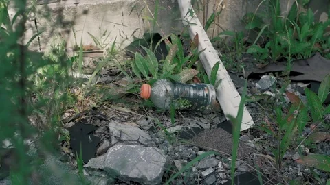 Plastic Bottle Litter - Color Graded Stock Footage 79544580