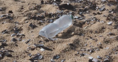 Plastic bottle lying on beach, illustrating plastic pollution. Pan right Stock Footage 119294337