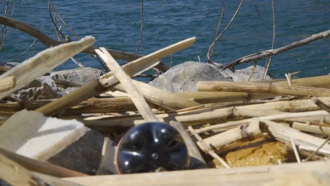 Plastic bottle lying near river, pollution concept.   Stock Footage 127960610