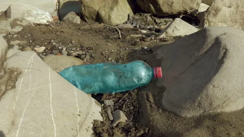 Plastic bottle lying on the shore of a mountain stream. Pollution of environment Stock Footage 133198115