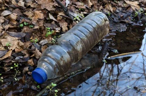 Plastic bottle in nature as garbage Stock Photos