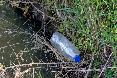 Plastic bottle in nature as garbage Stock-Fotos