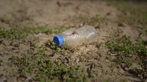 Plastic bottle in nature pollution moving dramatic beauty Stock Footage 269209529