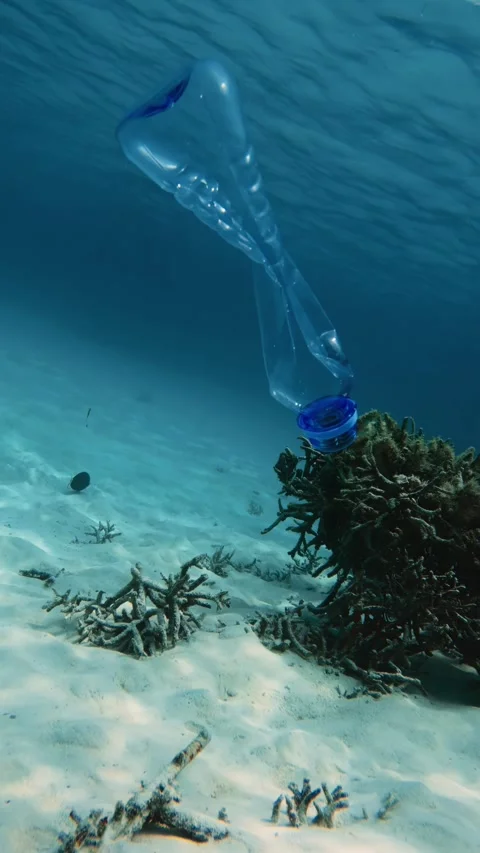 Plastic Bottle Polluting Coral Reef Ecosystem Stock Footage 302169570