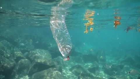 Plastic Bottle Pollution Floating in Ocean Reef with Fish Stock Footage