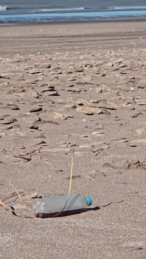 Plastic bottle pollution littering sandy beach. 4K Vertical Stock Footage 331201756