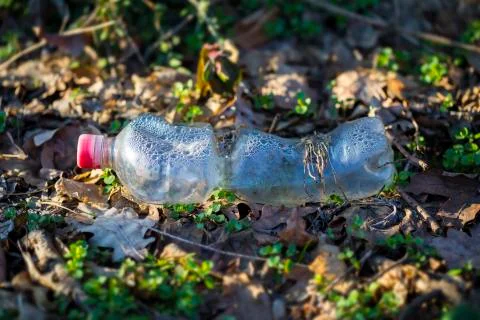Plastic Bottle Pollution Foto stock