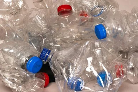 Plastic bottle in recycle bin, plastic waste management concept Foto stock