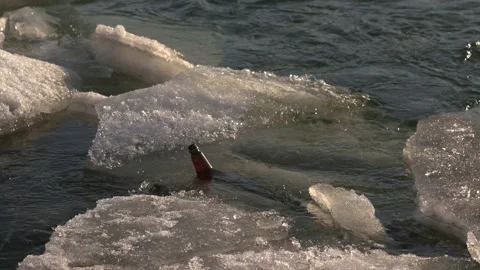 A plastic bottle in the river among the blocks of ice. Stock Footage 151603095