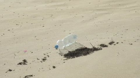 Plastic bottle rolling on beach 스톡 동영상 100084984