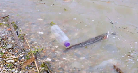 Plastic bottle on the shore. Plastic pollution Vídeo Stock 136108446