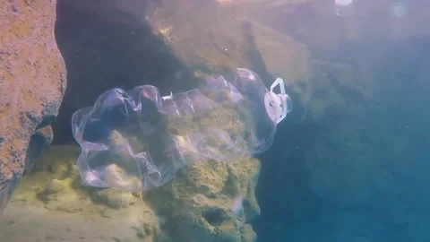 Plastic Bottle Sinking into the Ocean Reef pollution. Botella de Plástico Mar Stock Footage 291682013