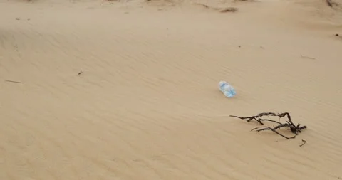 Plastic bottle slowly rolls sand, stops near dry branches of the plant in desert Stock Footage 175340771