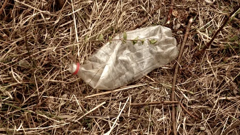A plastic bottle thrown away by man contaminates nature Stockbeeldmateriaal 128911316