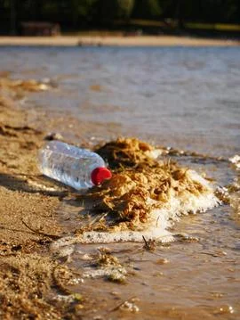 Plastic bottle thrown at the edge of the pond Stock Photos