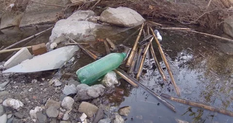 Plastic Bottle Trapped in River Debris Environmental Pollution Stock Footage 119911178