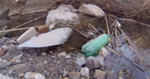 Plastic Bottle Trapped in River Debris Pollution in Natural Stream Stock Footage 119911181